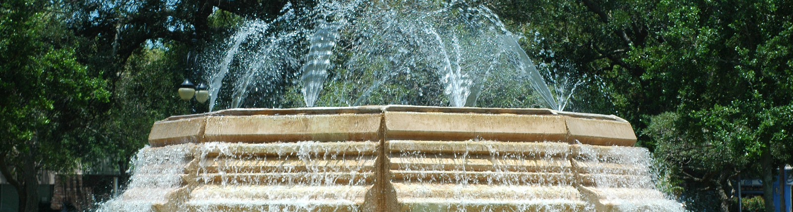 A fountain in Naples, Tampa, and Sanibel