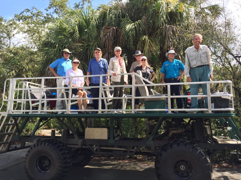 swamp buggy tours near me